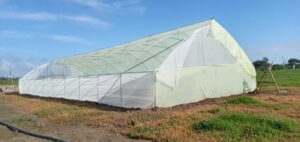 Steel / Galvanized Greenhouses