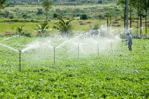 Overhead Sprinkler Irrigation