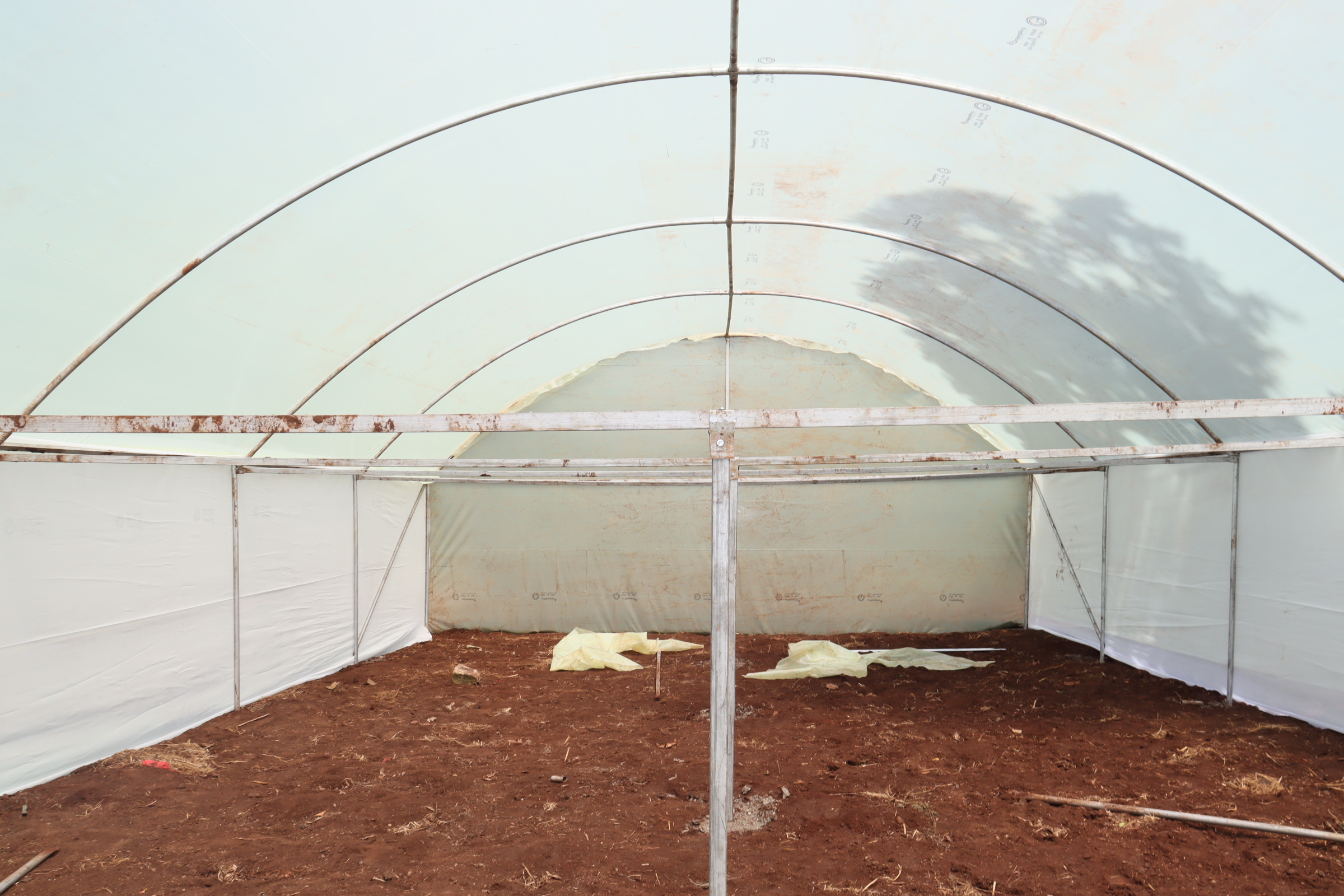 Greenhouse prices
