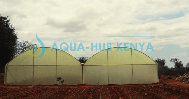 How much can a greenhouse make in Kenya?