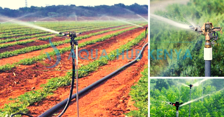 Irrigation Sprinklers in Kenya