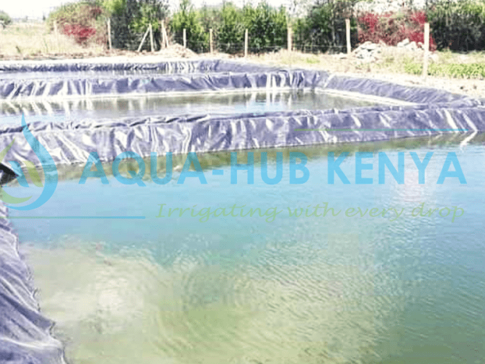 Dam liners in Kenya