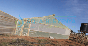 Cost of Wooden Greenhouse in Eldoret