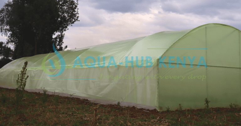 How to start greenhouse business in Kenya