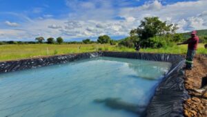 Dam Liners|Waterproof Solutions