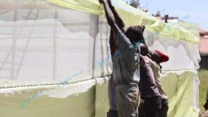 Greenhouse Polythene Covers in Kenya
