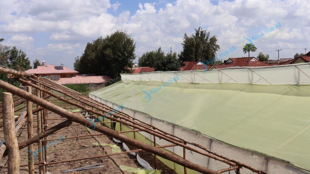 Greenhouse Polythene Covers in Kenya