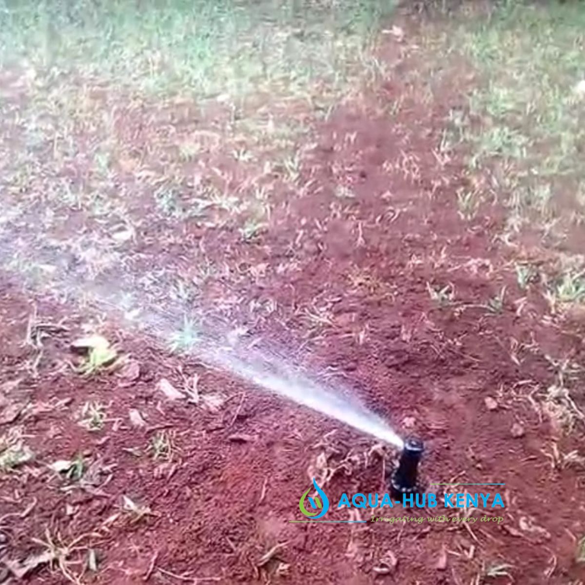 Rainbird Sprinkler Systems