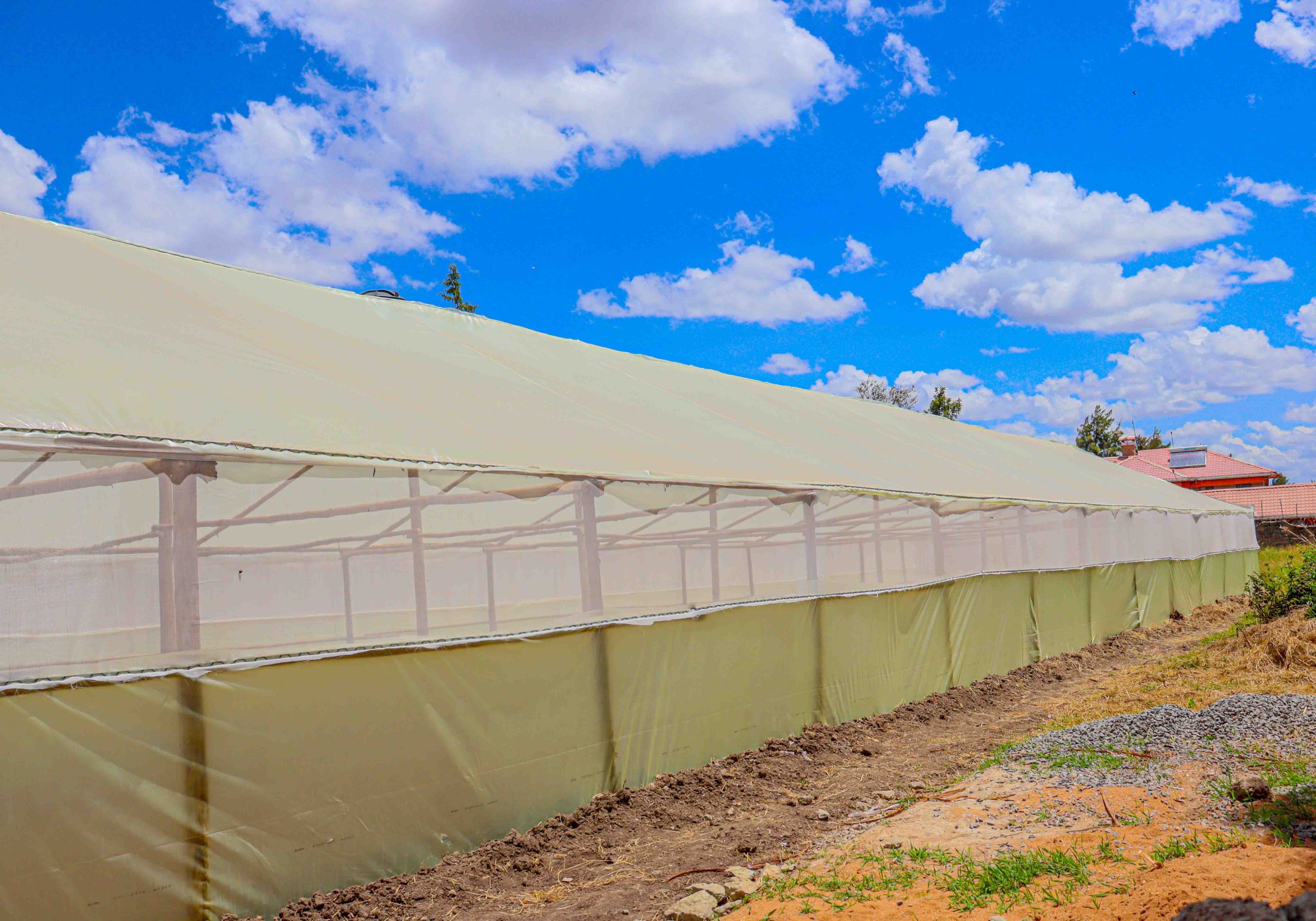 Wooden Greenhouse Construction in Kitengela