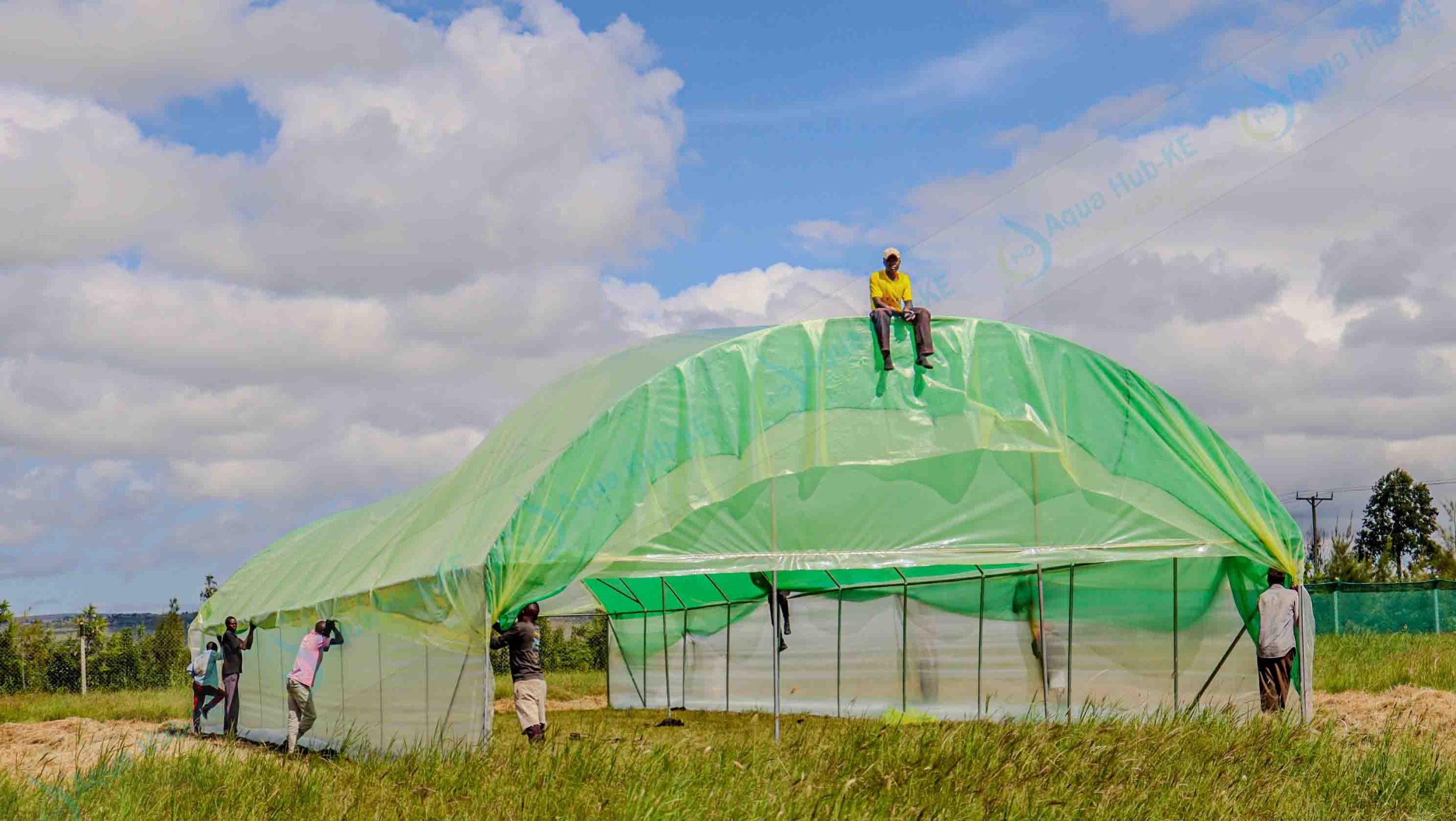 Kajiado Greenhouse