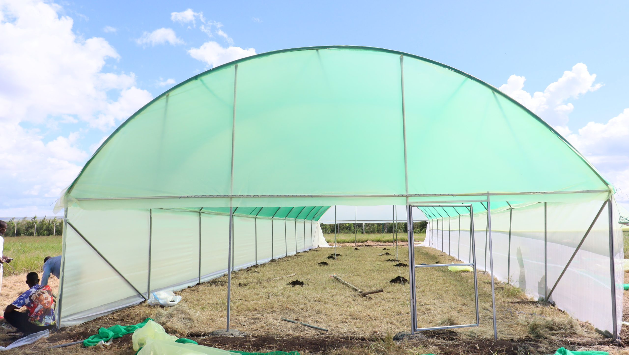 Metallic Greenhouse Installation in Kenya