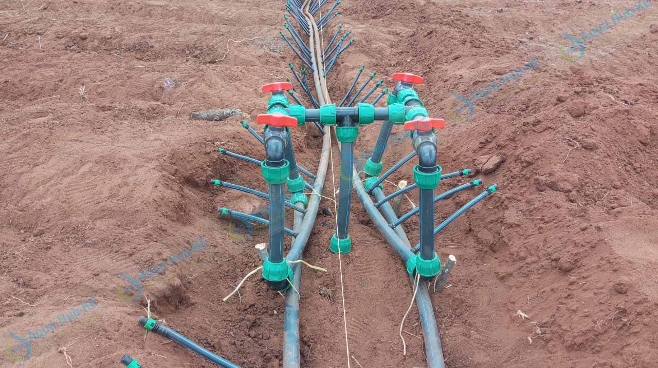 Drip Irrigation for Watermelons