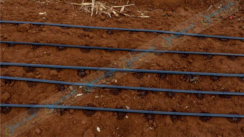 Drip irrigation