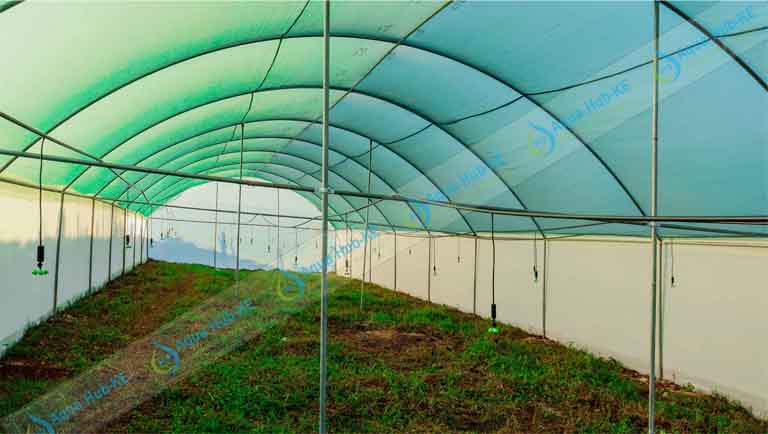 UV Shade Nets for Crop Protection