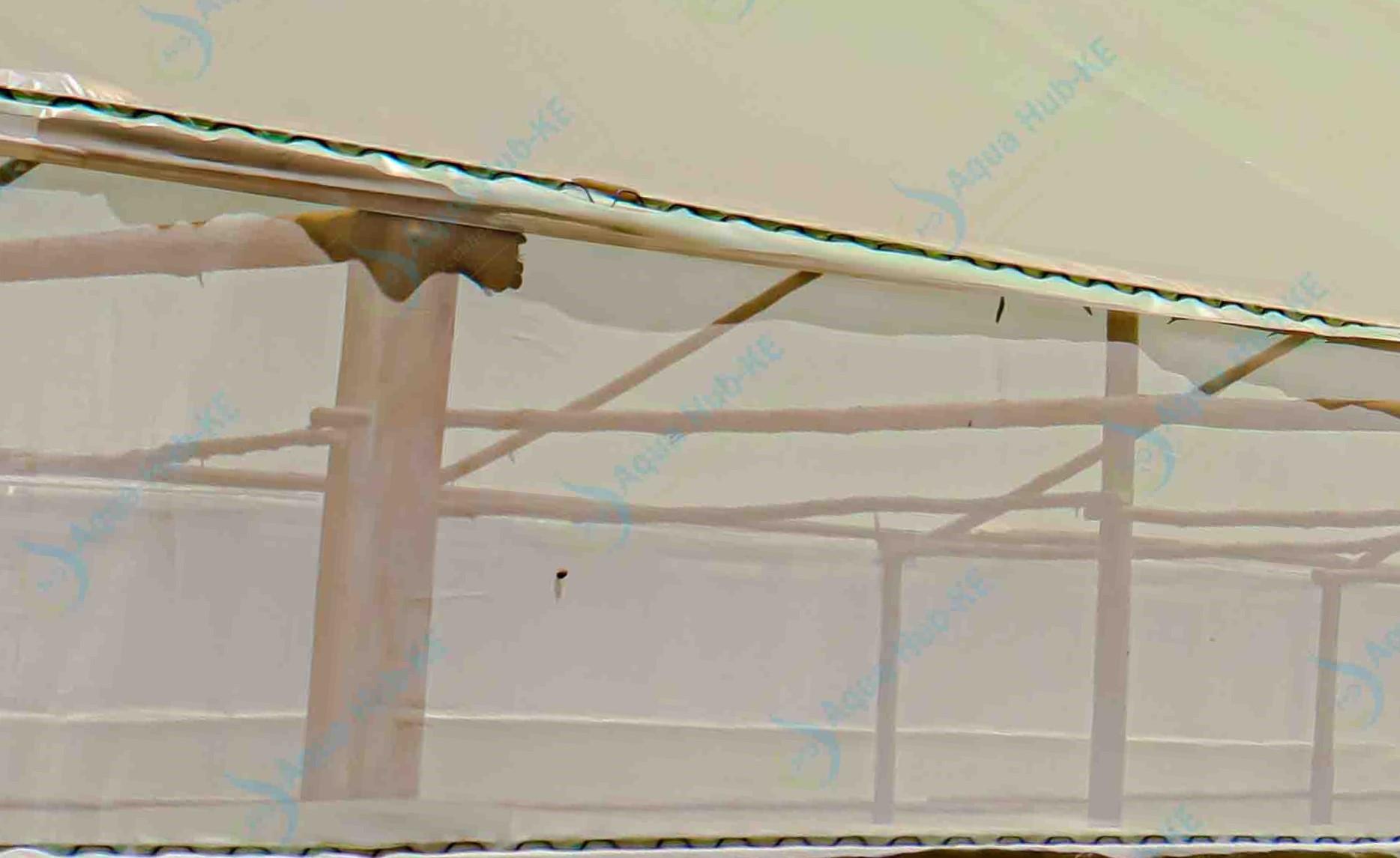 Greenhouse insect nets
