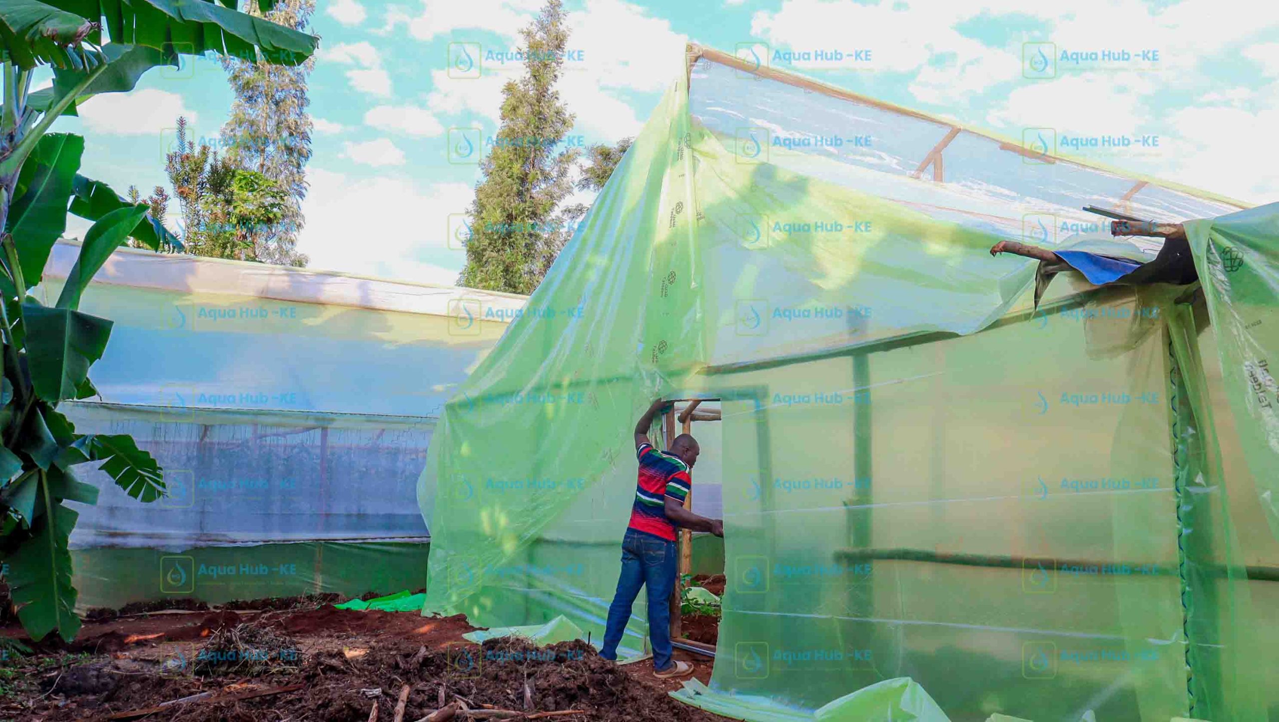 Wooden Greenhouse