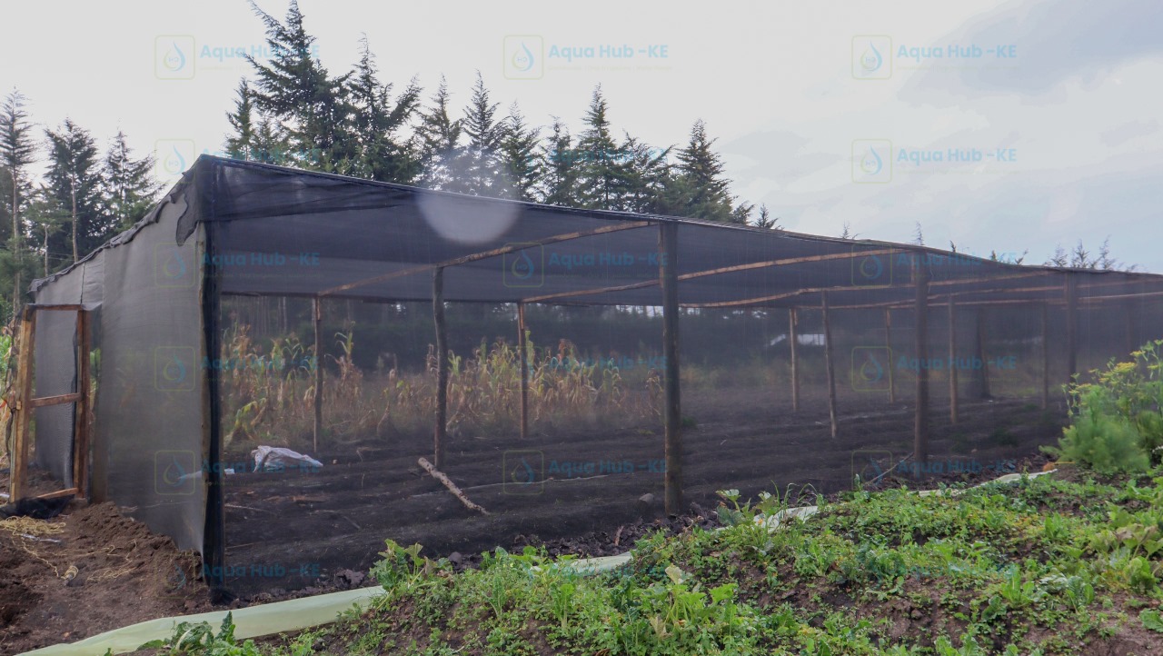 crop protection nets
