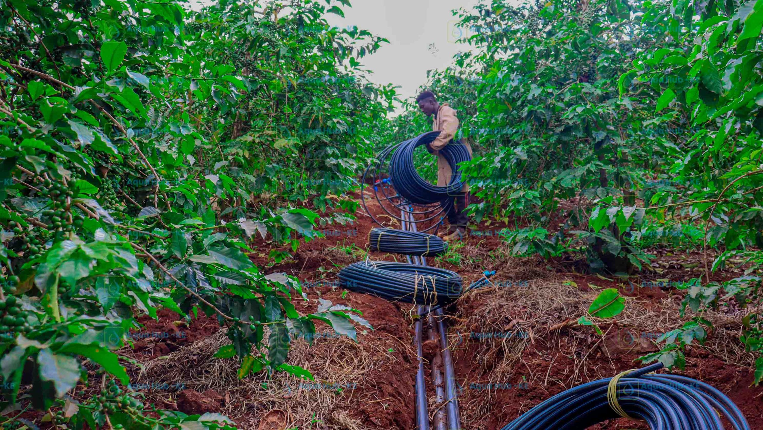 HDPE Pipes for Agriculture