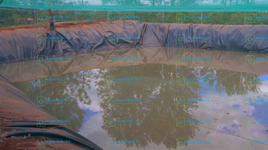Dam Liners for Sale in Kenya