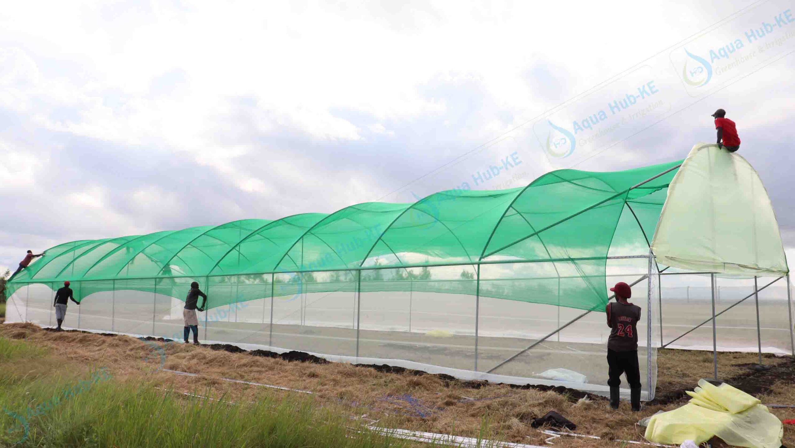 How to Use Insect Nets in Kenya