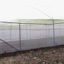 How to Use Insect Nets in Kenya