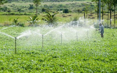 sprinkler-irrigation-system-500x500